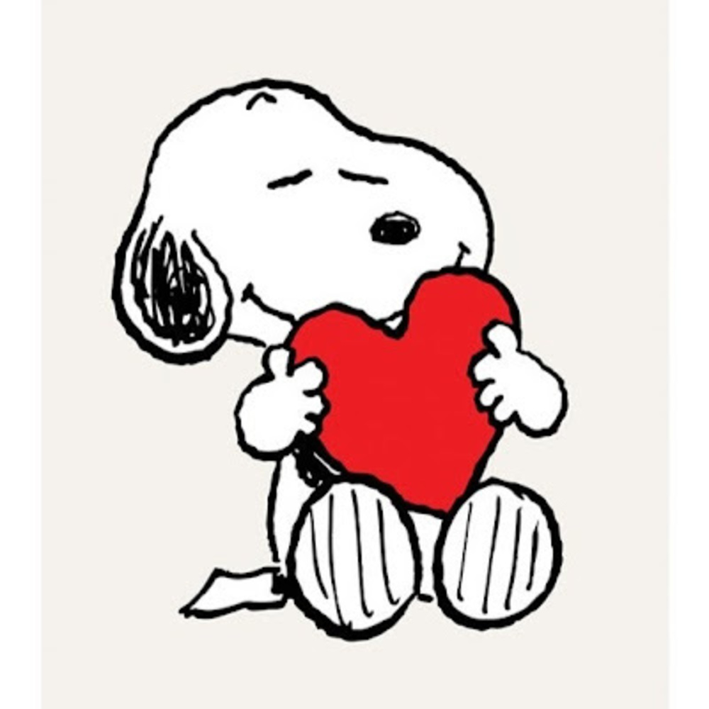 Meet your Posher, Jenn